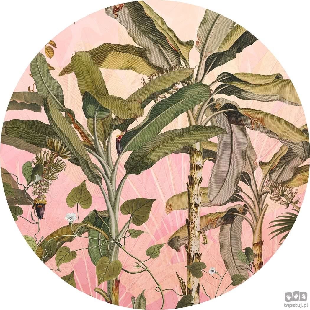 Komar Fototapeta Botany D1-029 D1-029