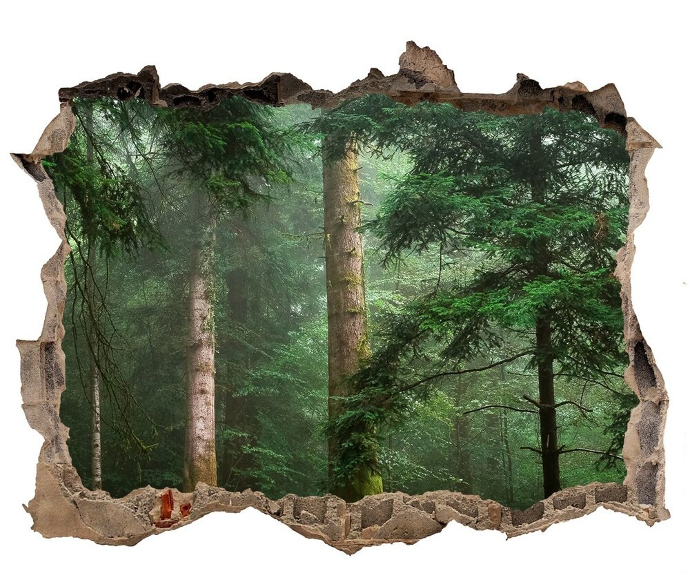 Wallmuralia.pl Dziura 3d foto tapeta naklejka Białe konie plaża