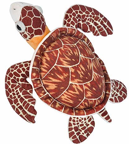 Wild Republic 21475 pluszowy żółw morski, Cuddlekins przytulanka zwierzątko pluszowe, 20 cm, brązowy 21475