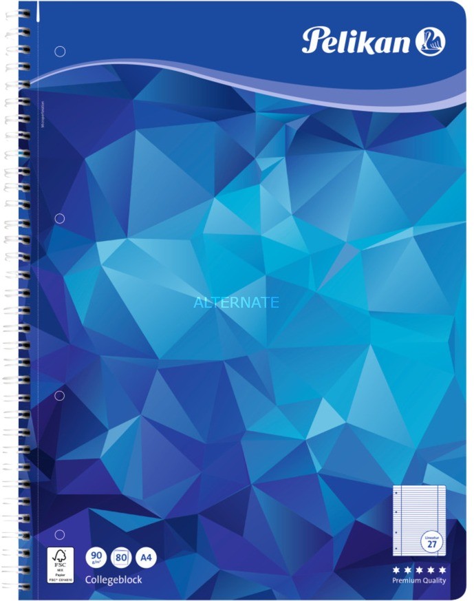 Pelikan 100076, College notebook