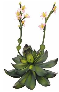 Europalms Europalms Stonerose (EVA), yellow, 32cm,  Sztuczna roślina 82530573