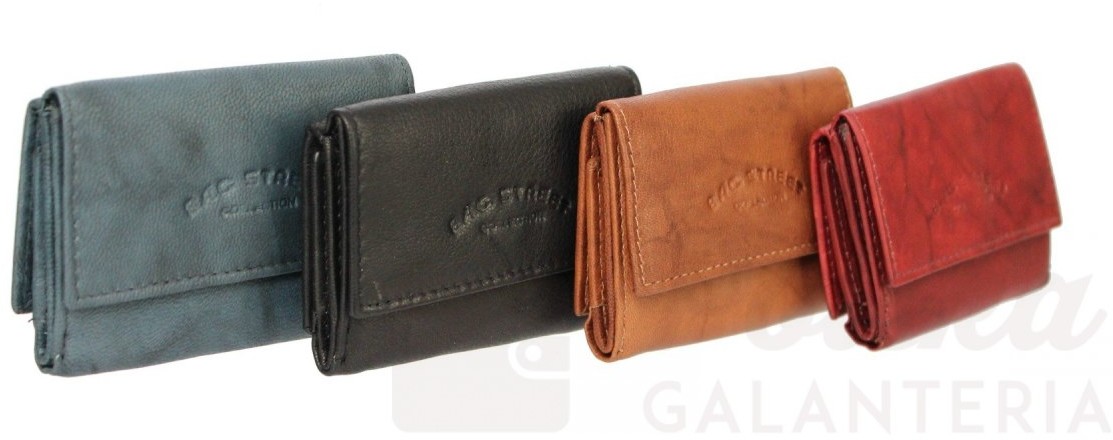 BAG Street Portfel Skórzany Mały Skóra Naturalna 5677