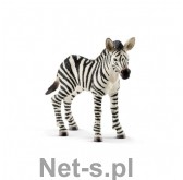 Schleich SLH 14811 Zebra źrebię
