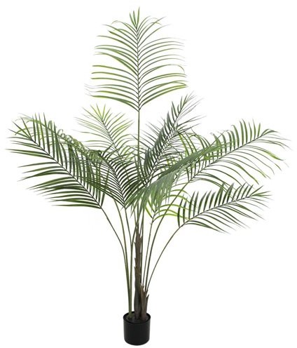 Europalms Euro Palms 82509442 duże arkuszy-Areca 185 cm 82509442