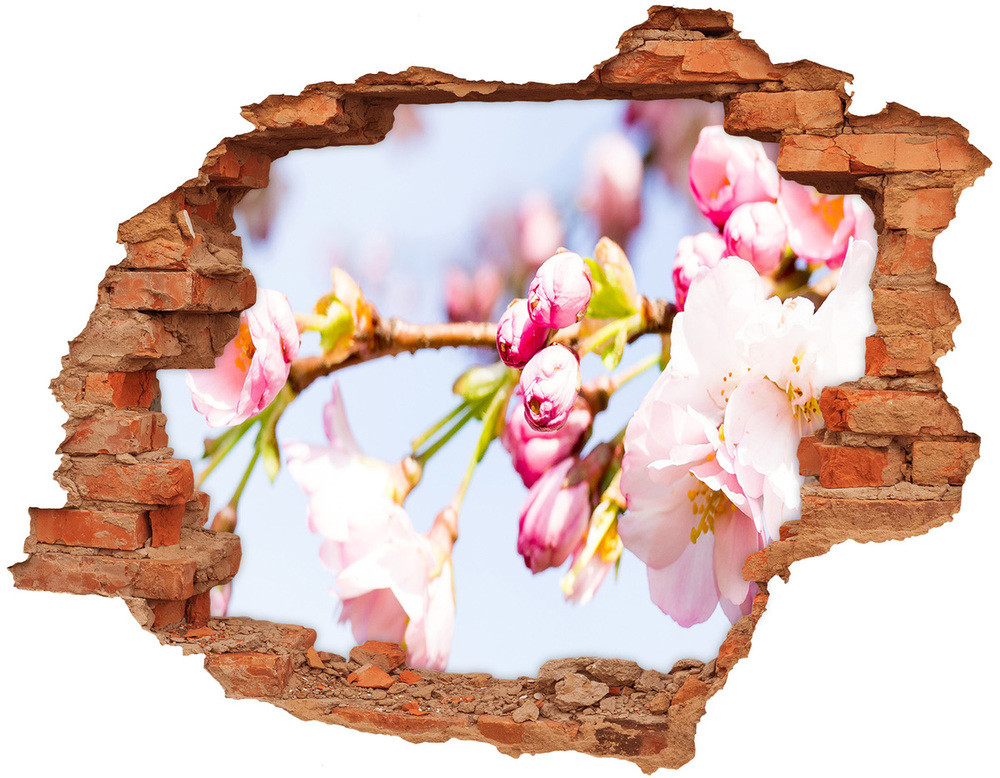 Wallmuralia.pl Samoprzylepna dziura na ścianę Kwiaty wiśni