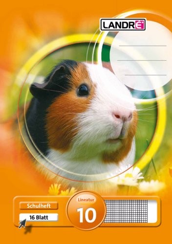 Landré Landre zeszyt, format: A5, cienki papier bezdrzewny, gramatura papieru: 80 g/m, 3 różne wzory okładek, 10 sztuk 100050076