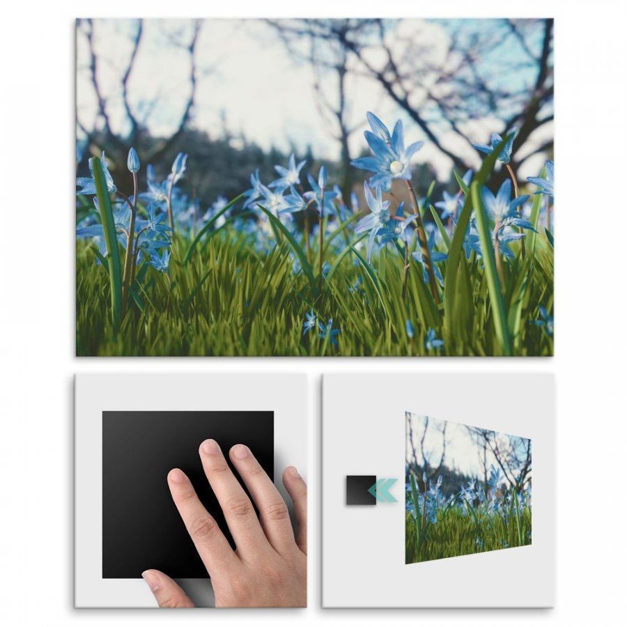 Pix4home Plakat metalowy piękno błękitu M POS-M-01202