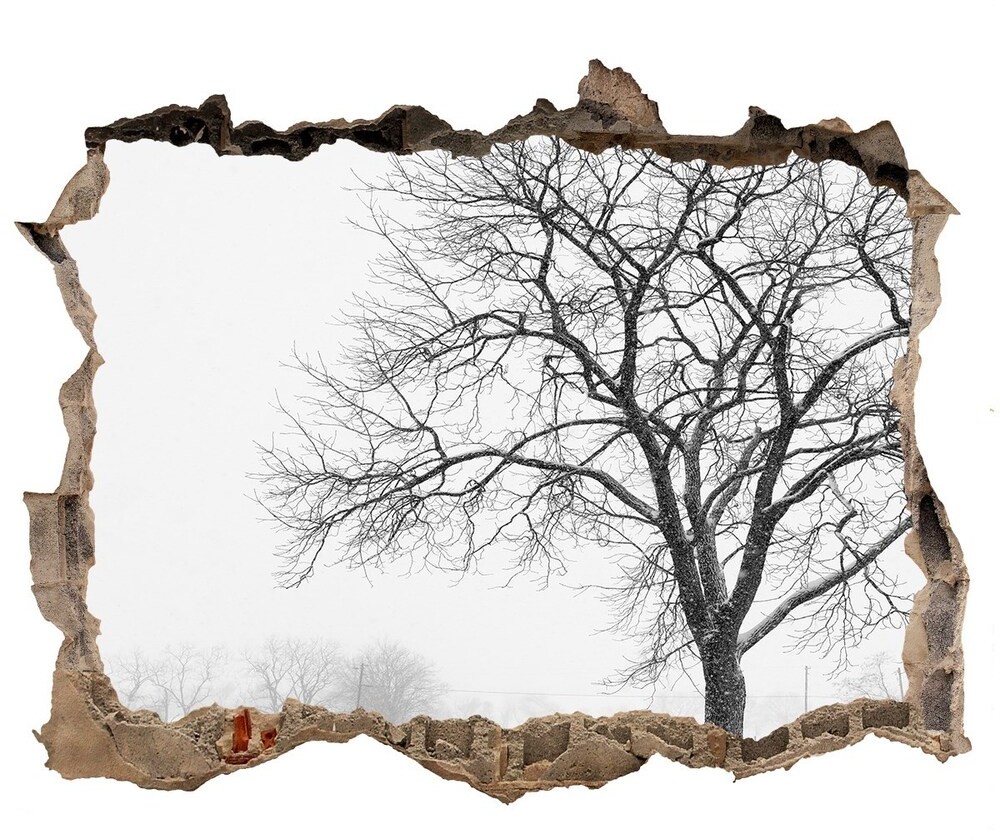 Wallmuralia.pl naklejka fototapeta 3D widok Drzewo zimą