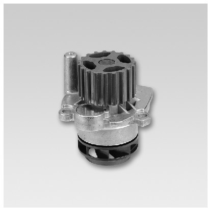 HEPU Pompa wodna P563