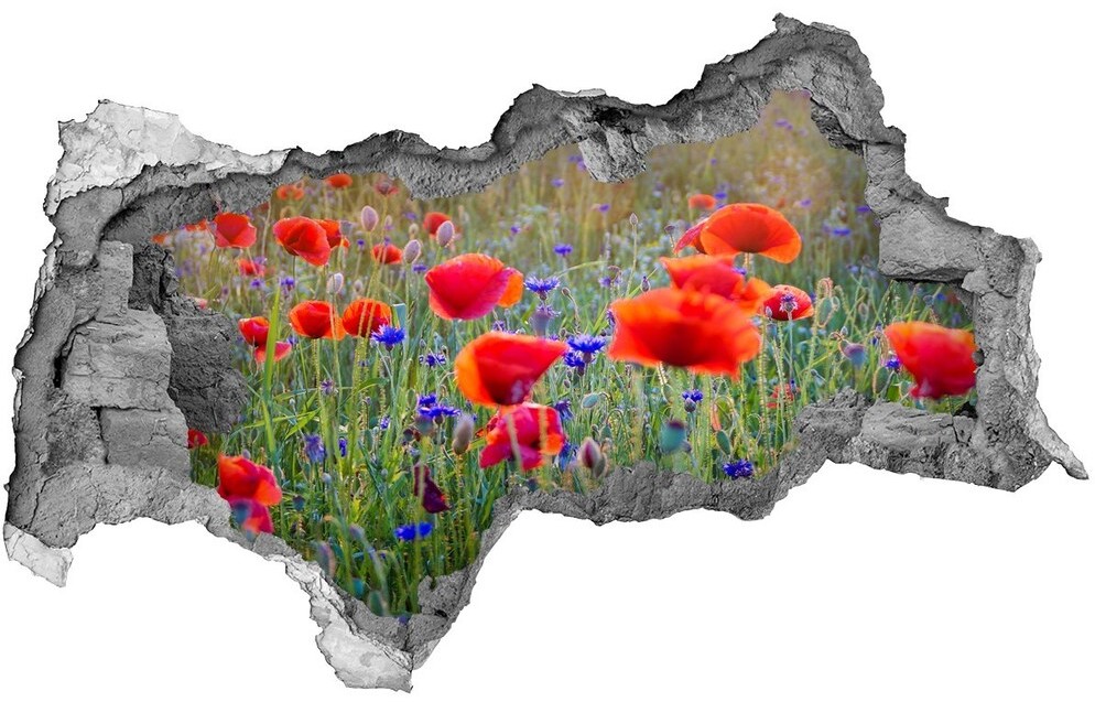 Wallmuralia.pl Samoprzylepna dziura na ścianę Polne kwiaty