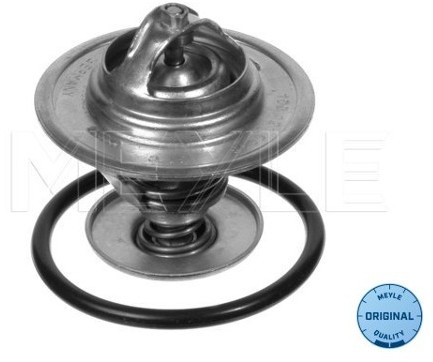 Wulf Gaertner Autoparts Termostat, środek chłodzący Wulf Gaertner Autoparts 100 121 0048