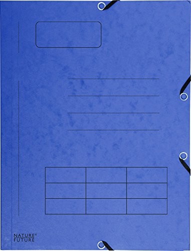 Exacompta 55360e teczek karton Manila-organizacji, ściągacz z gumką, 3 klapy, druk, 355 G, DIN A4) 10er Pack kolory sortowane 3130631553600