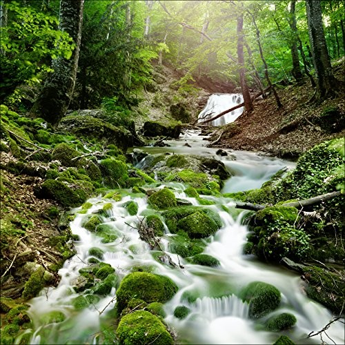 Pro-Art-Bilderpalette Pro-Art gla985ze obraz na ścianę Glas-Art 