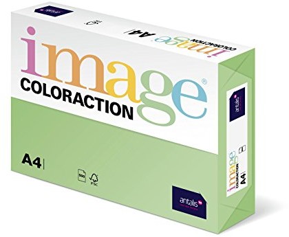 Antalis Własna kopa A4 colorac Forest, 250 arkuszy, 160 G 97155