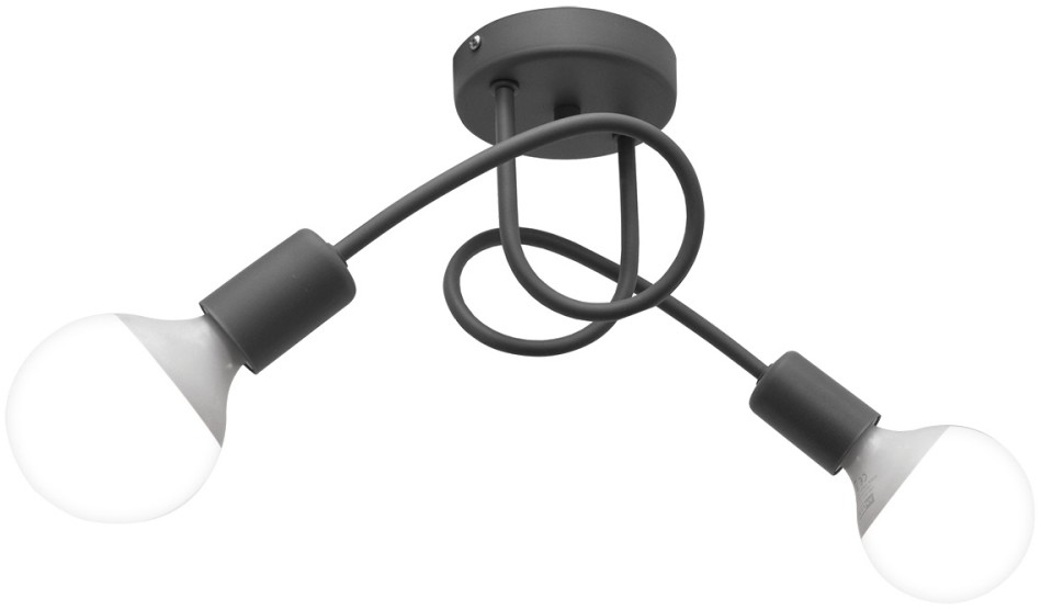 Lampa sufitowa OXFORD 2xE27/60W/230V srebrny