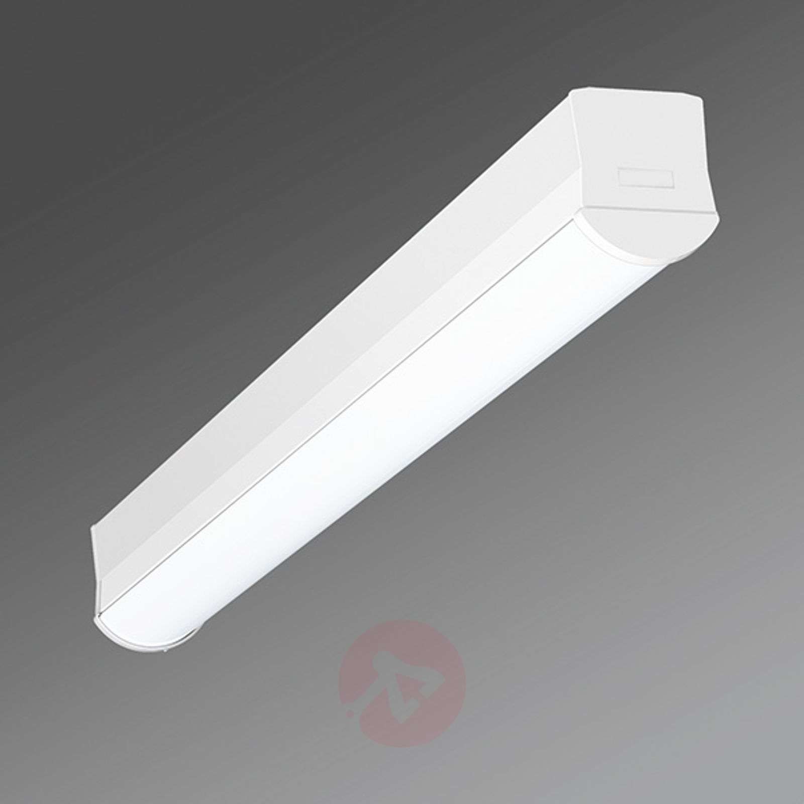 Regiolux Wąska lampa sufitowa LED Ilia-ILG/0600 4 000 K
