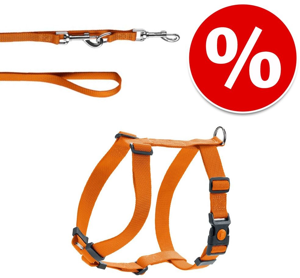 Hunter Komplet London pomarańczowy, szelki + smycz - Rozmiar M + smycz 200 cm / 15 mm