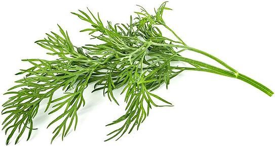 Click & Grow Kapsułki z nasionami Smart Soil 3 szt. koperek 4742793008813