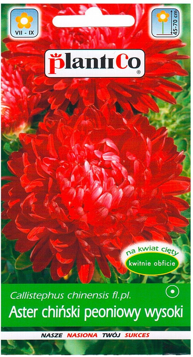 Plantico Aster chiński peoniowy czerwony