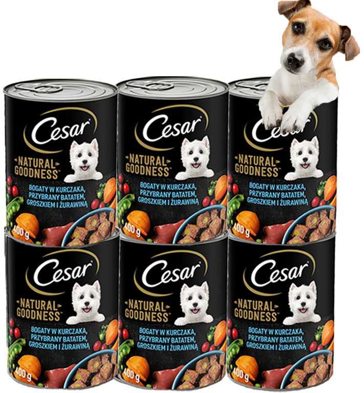 Cesar Mokra Karma KURCZAK i Warzywa ZESTAW 6x400g  od 95zł +DO 3% ZWROTU W PROGRAMIE LOJALNOŚCIOWYM ZEST-CES-KUR-400-6