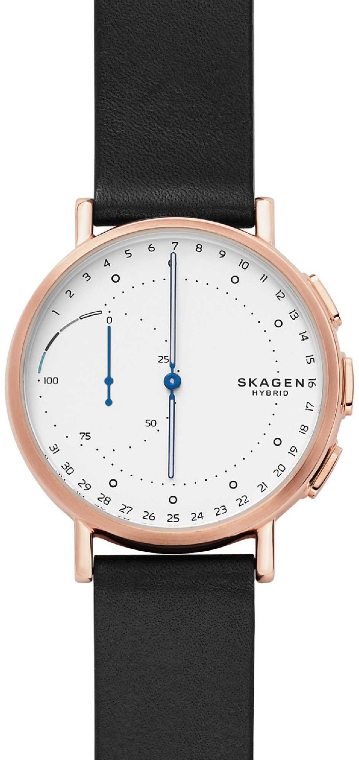 Skagen SKT1112