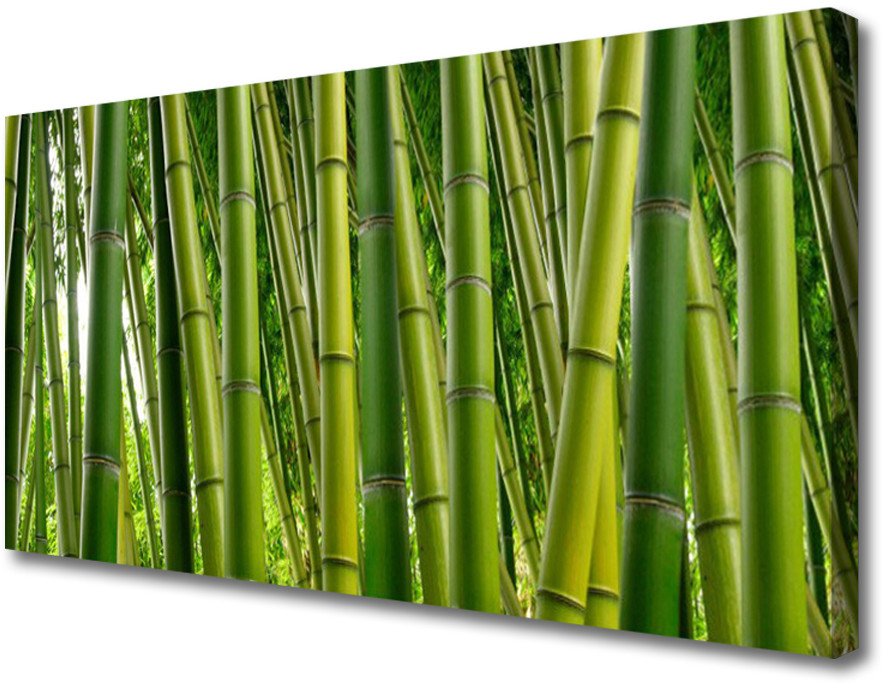 PL Tulup Obraz Canvas Bambusowy Las Pędy Bambusa 100x50cm