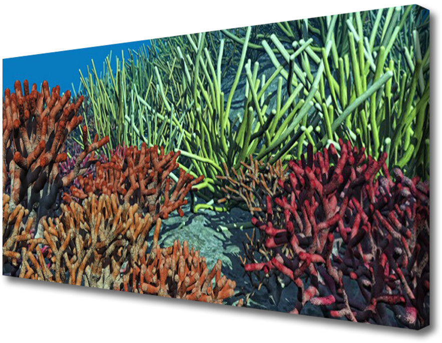 PL Tulup Obraz Canvas Rafa Koralowa Przyroda 140x70cm
