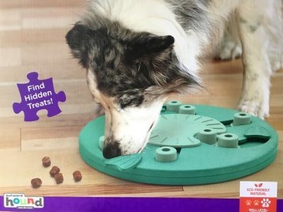 Outward Hound Dog Worker Green gra edukacyjna [69541]