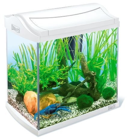 Tetra AquaArt Discovery Line zestaw do akwarium biały (łącznie z EasyCrystal FilterBox, idealny do postawienia krewetek, raków lub tropikalnych ryb ozdobnych), różne rozmiary, 30 l