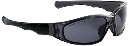 Eagle powodu robocze okulary ochronne z multimedialny szyby wykonane z poliwęglanu, szary EAPOLEY