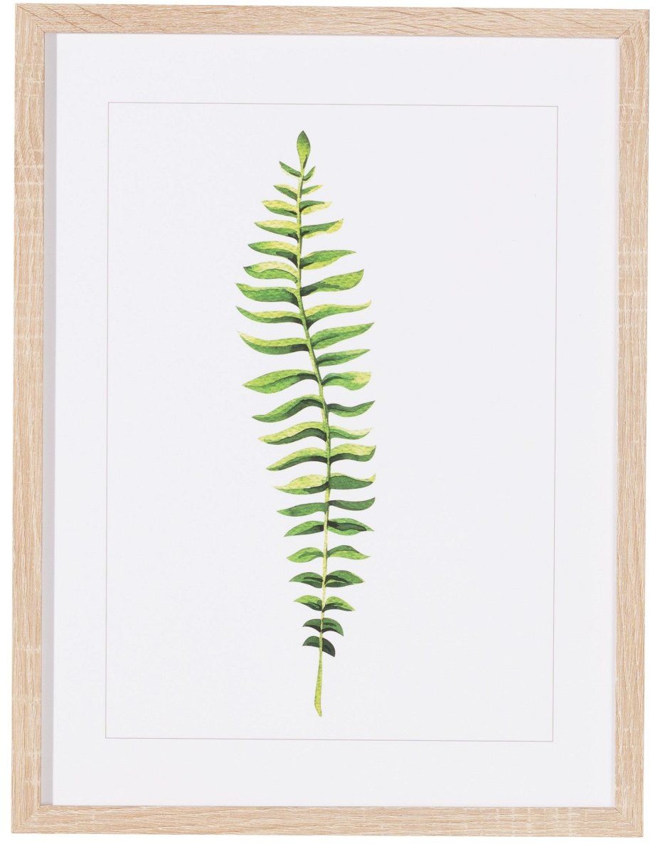 Dekoria Obraz Fern Leaf 32,4x1,5x42,5cm light brown 32,4x1,5x42,5cm 811-292