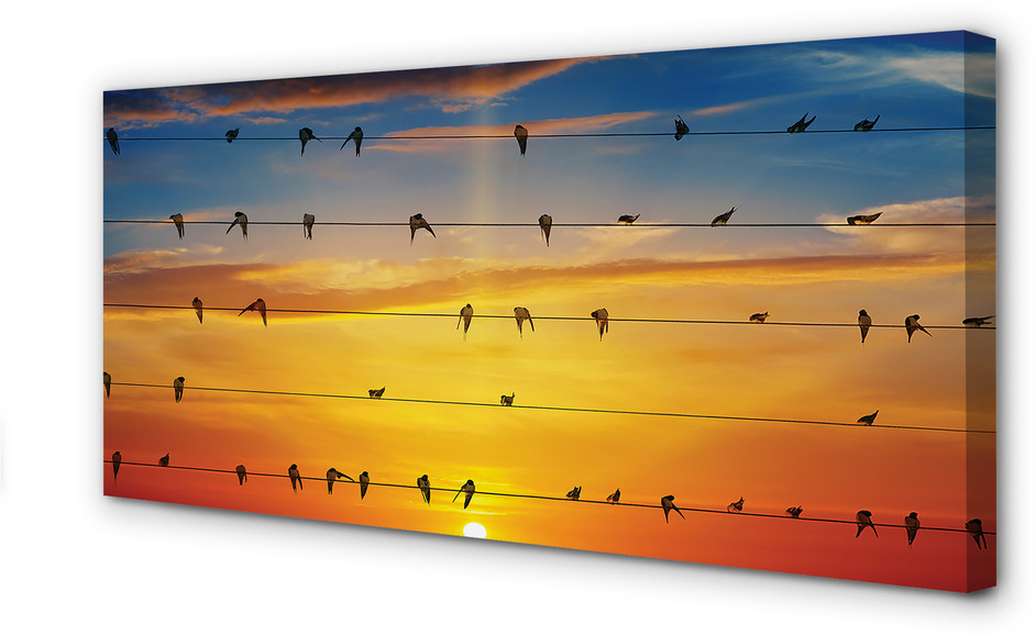 PL Tulup Obrazy na płótnie Ptaki na linach zachód słońca 140x70cm