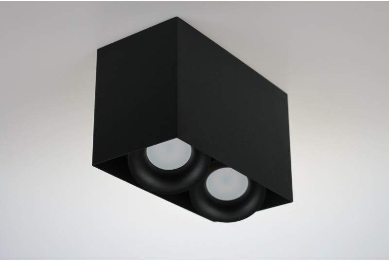 Light&More LM P 818/2 BK PLAFON NOWOCZESNA LAMPA SUFITOWA OPRAWA NATYNKOWA CZARNY PAR16 GU10 LED LM P 818/2 BK TUBA