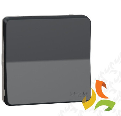 Schneider Electric MUREVA STYL Mechanizm łącznika dwupolowego IP55 antracyt MUR35034 MUR35034/SCH