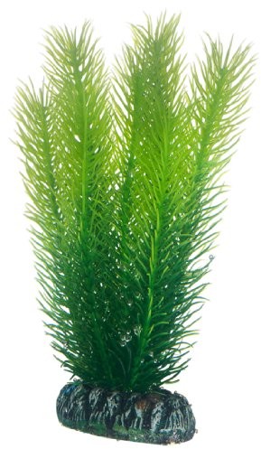 Hobby mayaca, 16 cm