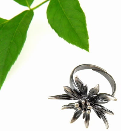 Venus Galeria Szarotka średnia szara - pierścionek srebrny