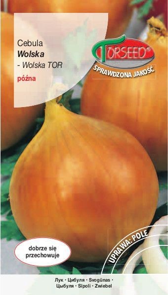 Torseed Nasiona Cebula Wolska 5g Torseed7908