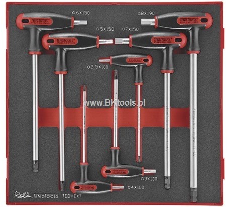 TENG TOOLS Klucze trzpieniowe z rękojęścią-zestaw 238320105 TEDHEX7