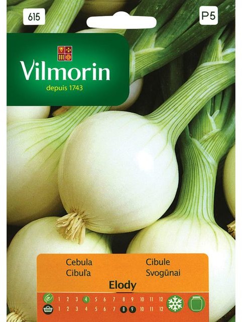Vilmorin Cebula biała ELODY