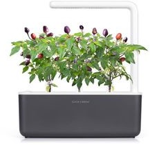 Click & Grow Kapsułki roślinne Click &amp Grow Pods Purple Chili Pepper Fioletowa papryka chili PurpleChiliPepper