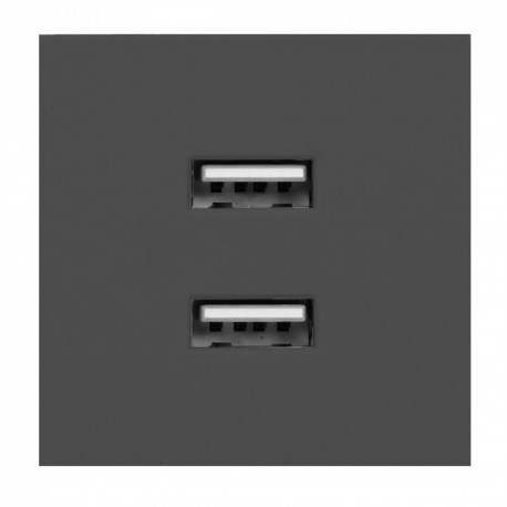 NOEN USB x 2, podwójny port modułowy 45x45mm z ładowarką USB, 2,1A 5V DC, czarny OR-GM-9010/B/USBX2