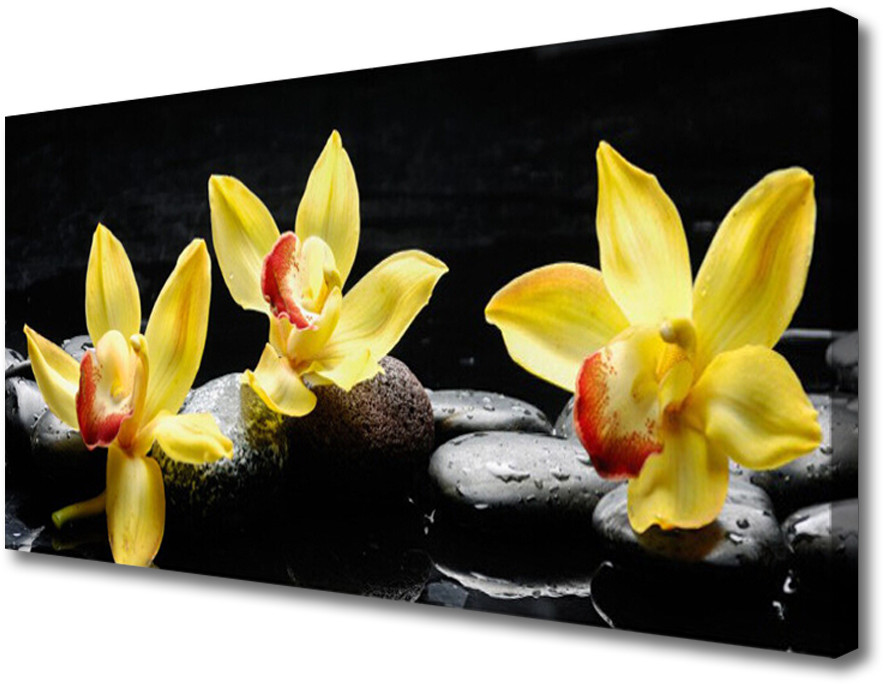 PL Tulup Obraz Canvas Kwiat Orchidea Roślina 125x50cm