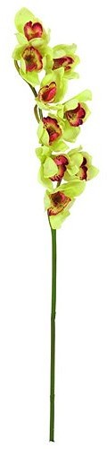 Europalms Euro Palms 82530313 cymbidium gałąź, 90 cm, zielony 82530313