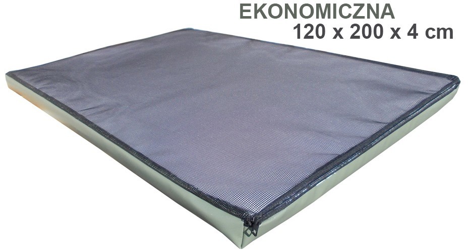 Mata Dezynfekcyjna Ekonomiczna 100Cm X 120Cm X 4Cm Zielony 4 Cm.