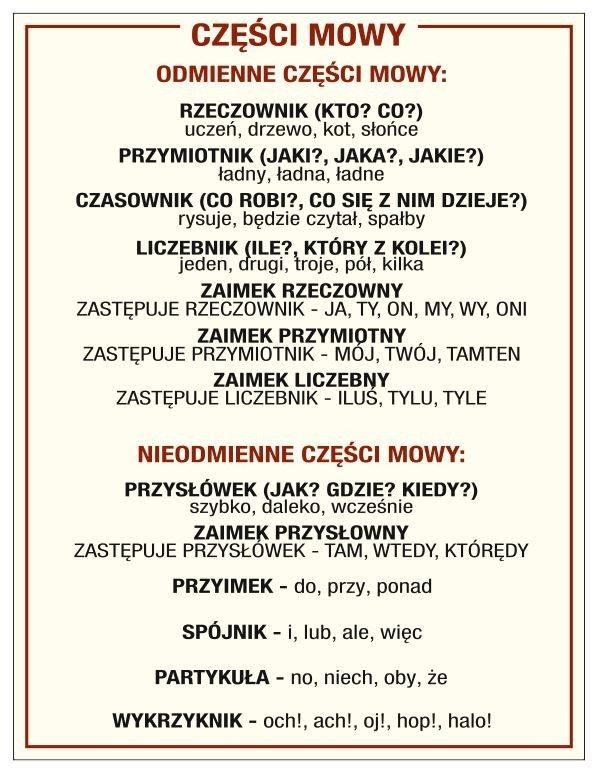 Naklejka edukacyjna: Części mowy ED059