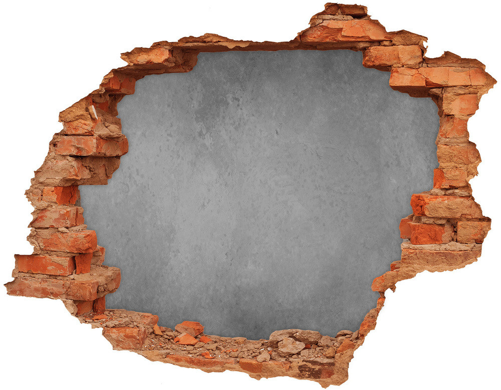 Wallmuralia.pl Dziura 3d fototapeta naklejka Iguana