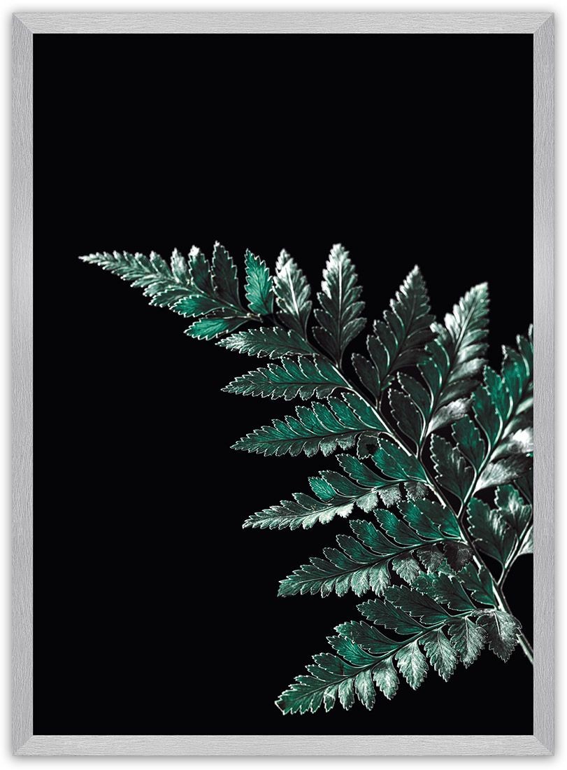 Dekoria Dekoria Plakat Dark Fern Leaf 40 x 50 cm Ramka Srebrna 221B-000-19