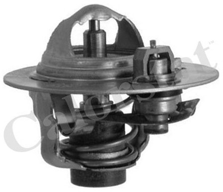 CALORSTAT Termostat, środek chłodzący CALORSTAT TH6292.88J