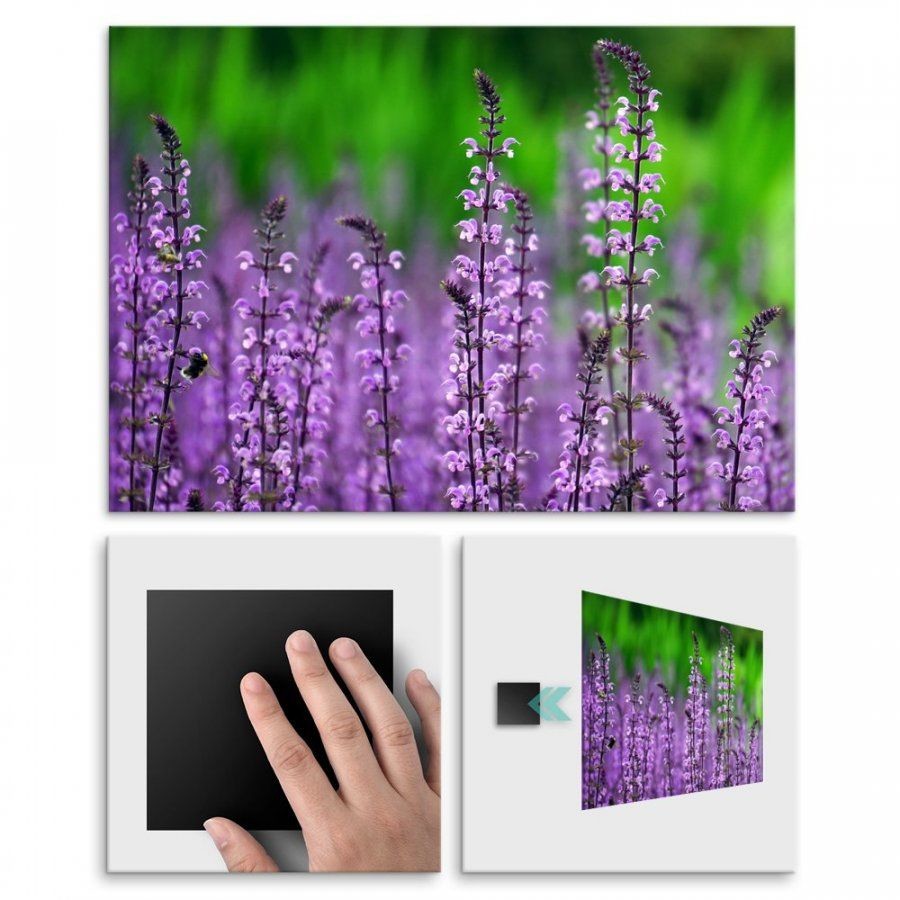 Pix4home Plakat metalowy purpurowe piękno M POS-M-01201