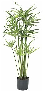 Europalms Europalms Cyperusgrass, 76cm, Sztuczna roślina 82600138